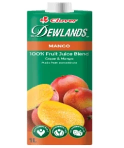 Alternative view of Dewlands Mango Juice 1 Liter