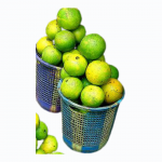 Alternative view of Orange | Basket