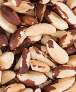 Organic Brazil Nut BULK