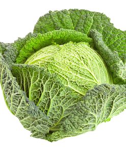 Cabbage Savoy Holland