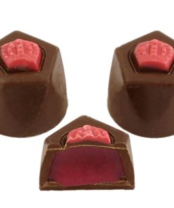 Asher’s Premium Dark Chocolate Raspberry Truffles 6lb