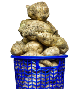 Alternative view of Sweet Potato (Basket)