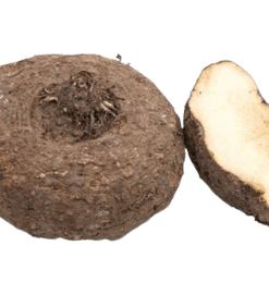 Yam India